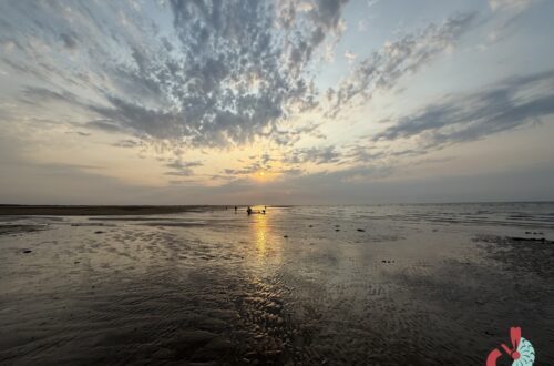 Plage Franceville Merville